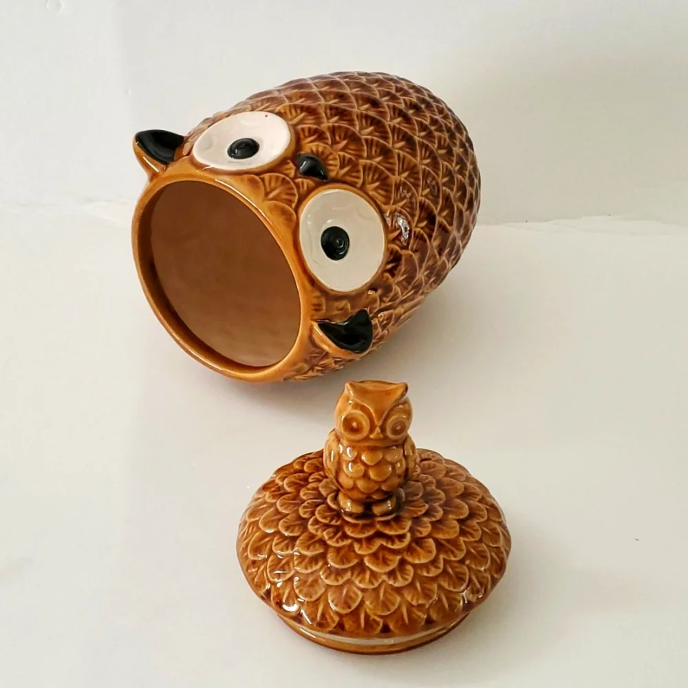 Pier 1 Imports Owl Cookie Jar